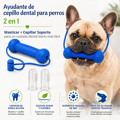 Mordedor dental: cepíllalo mientras juega