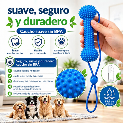 Mordedor dental: cepíllalo mientras juega