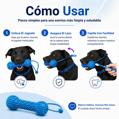 Mordedor dental: cepíllalo mientras juega
